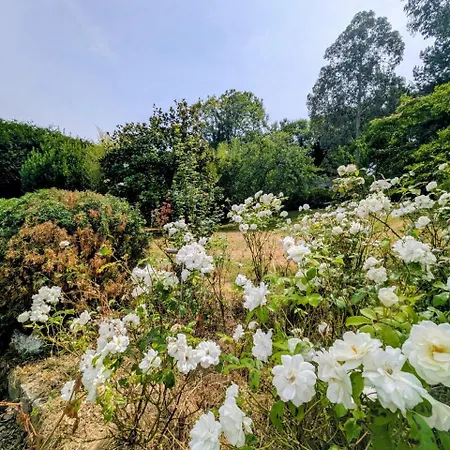 Julia Marie - Familiale Avec Jardin - 4*